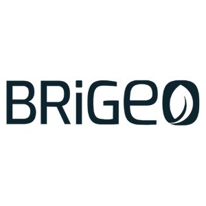 brigeoooo.png
